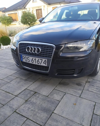 Audi A3 cena 13800 przebieg: 365088, rok produkcji 2007 z Pleszew małe 137